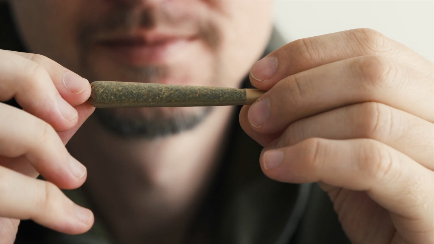 Cannabis - Die Reportage